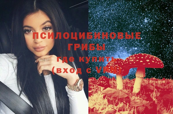 гашик Зеленодольск