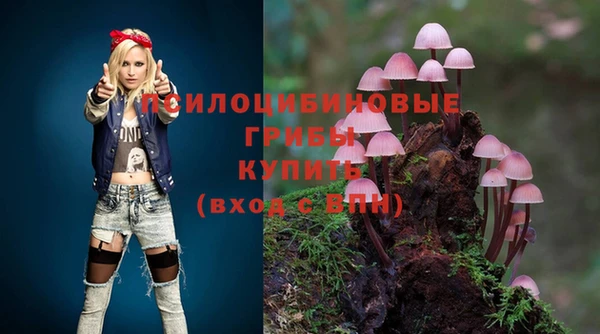 крисы Алексеевка